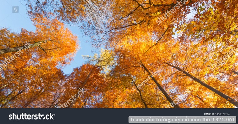 Tranh dán tường phong cảnh hồ thác, cây cối T321-562